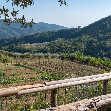 Poggio Al Mandorlo Villa เกรเว อิน เคียนตี ภายนอก รูปภาพ