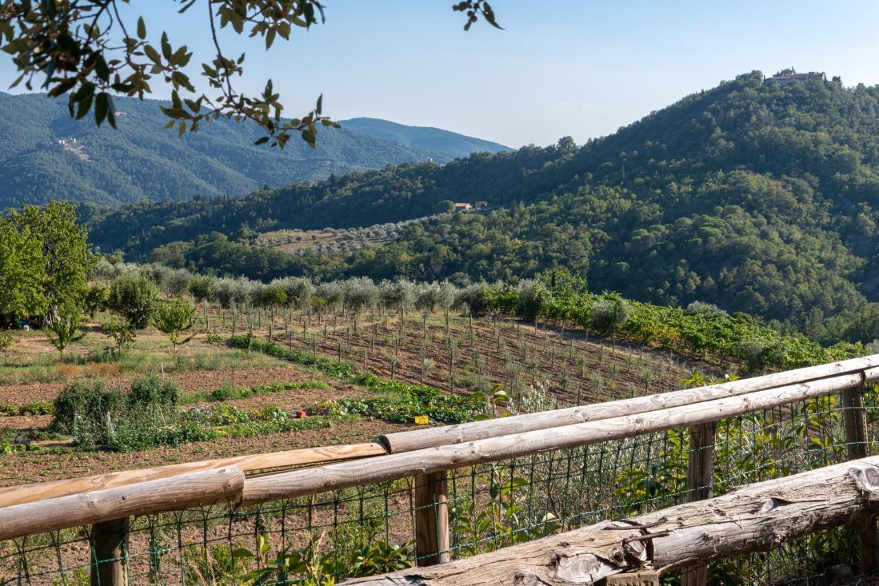 Poggio Al Mandorlo Villa เกรเว อิน เคียนตี ภายนอก รูปภาพ